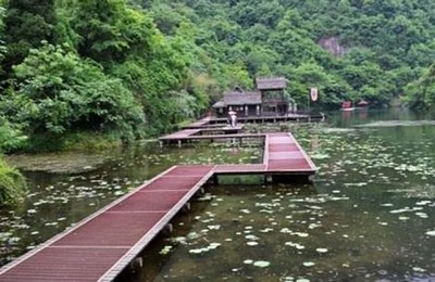 电影《风流草》