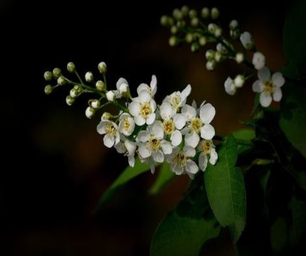 祛狐臭的药十大排名