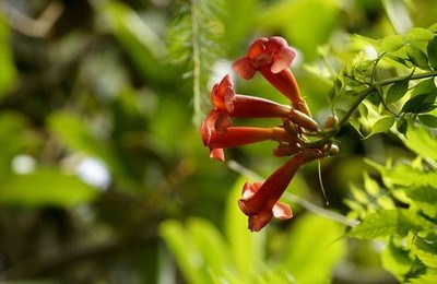 老妈的桃花运豆瓣