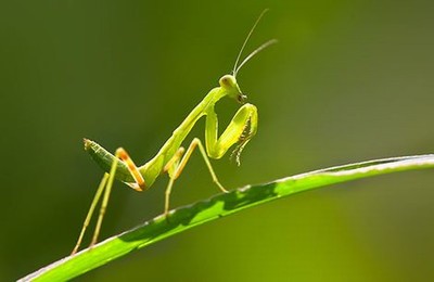 腰一挺进入灼热的通道