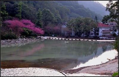 芒果视频一址三址