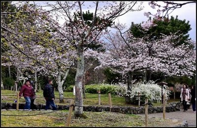 范冰冰苹果几分几秒